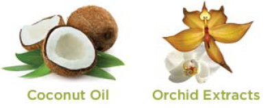 Wild Orchid Body Oil